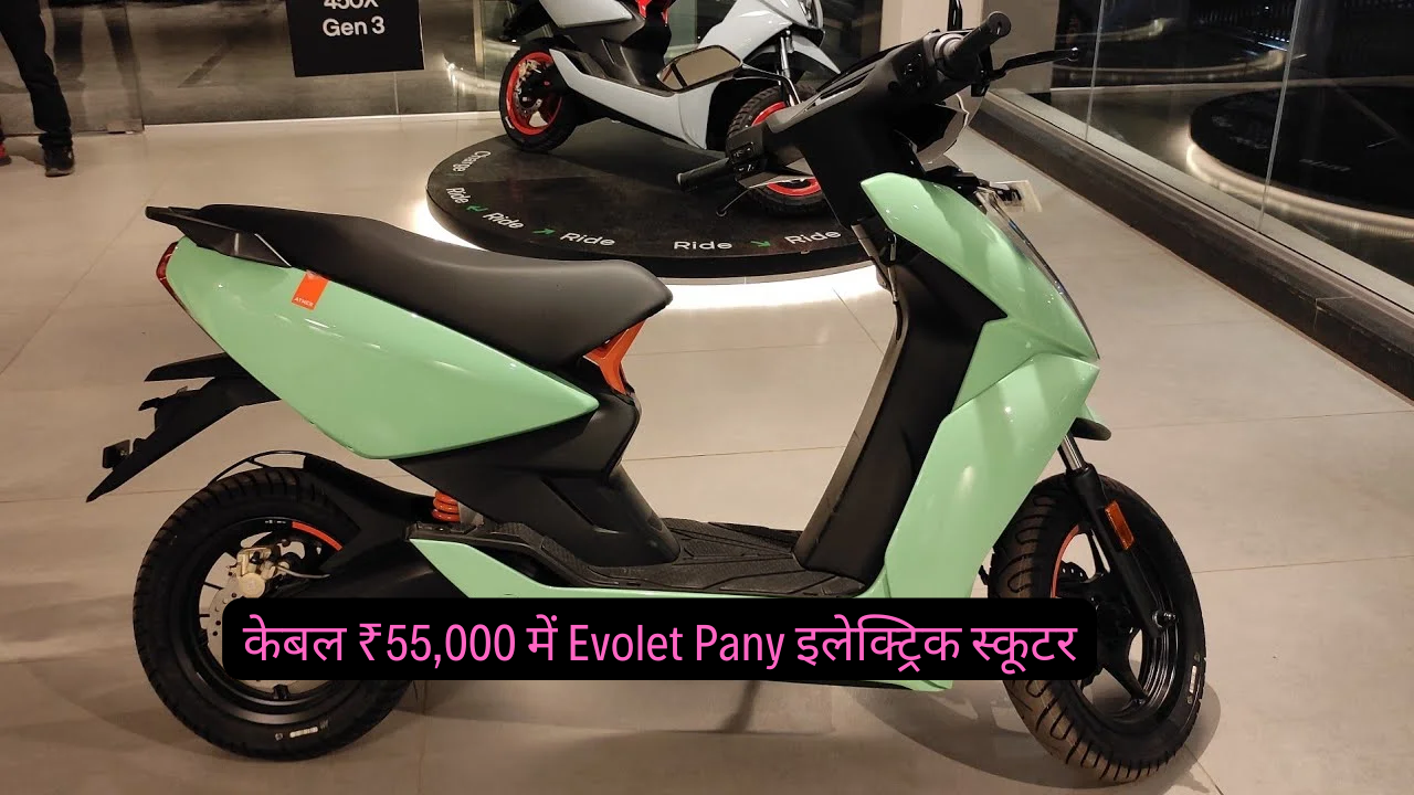 Evolet Pany