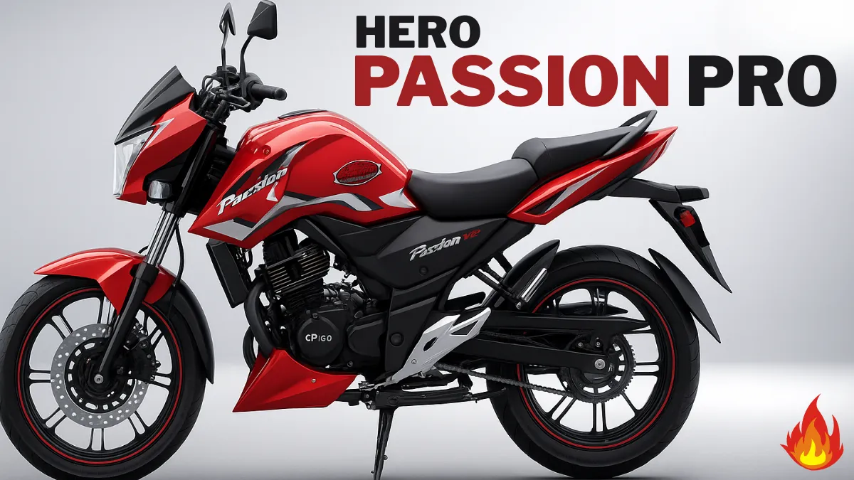 Hero Passion Pro